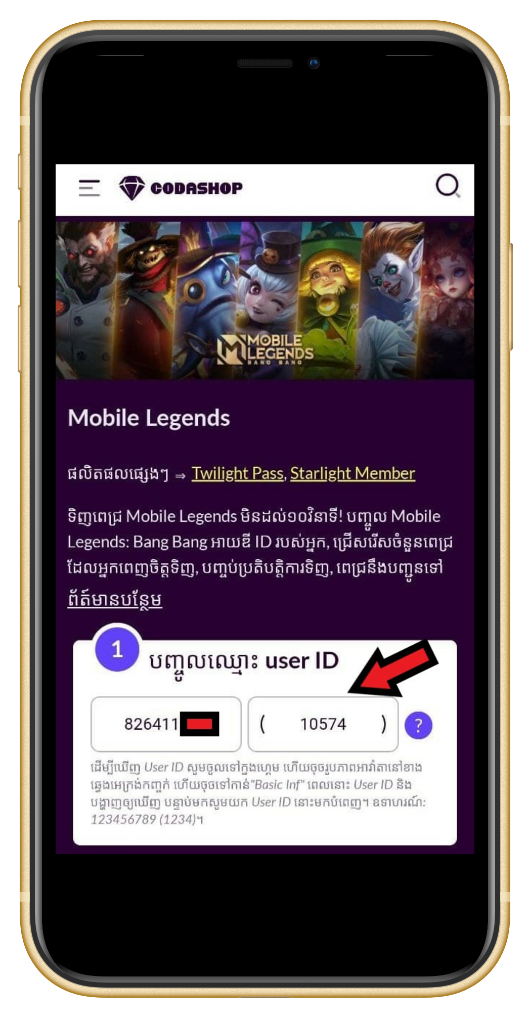 Wingpay_Coda__2_.png
