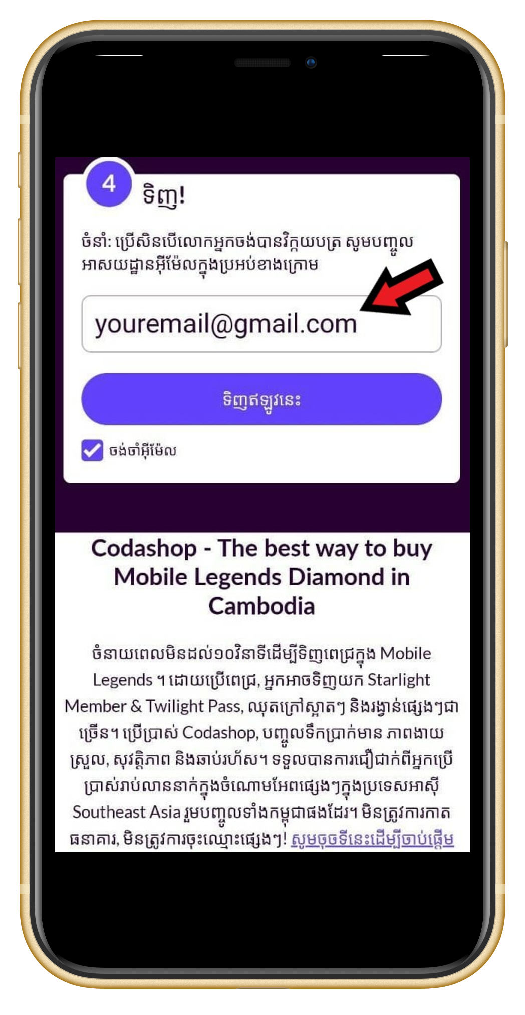 Wingpay_Coda__4_.png