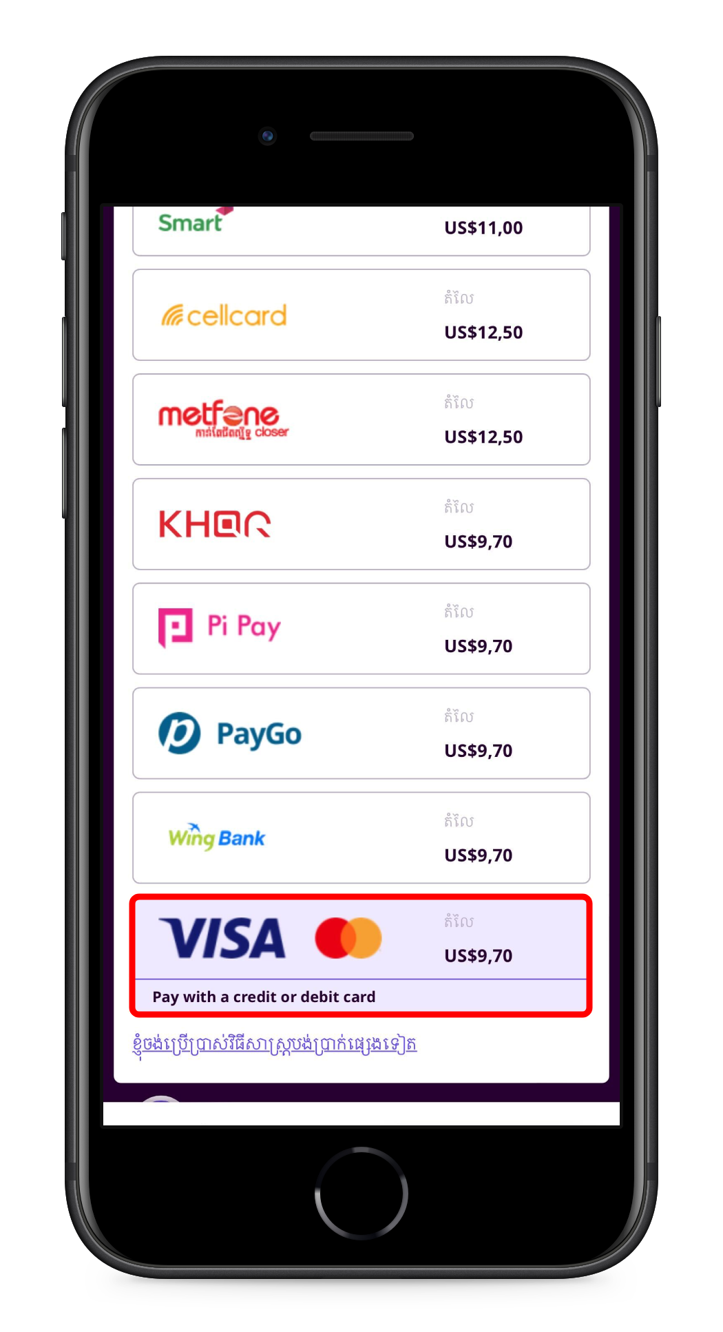 Visa_2.png