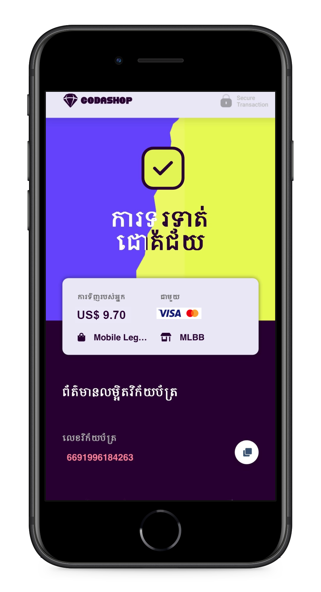 Visa_7.png