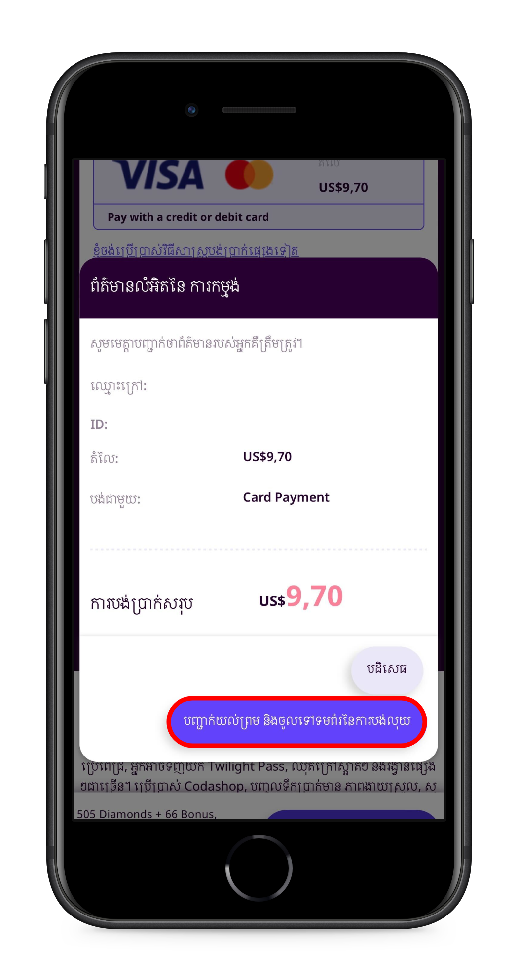 Visa_4.png