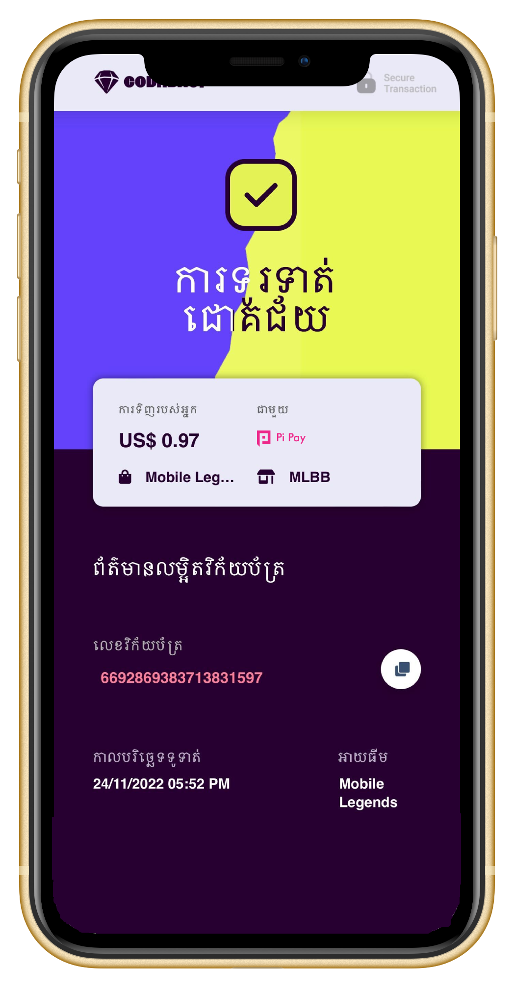Pi Pay 11.png